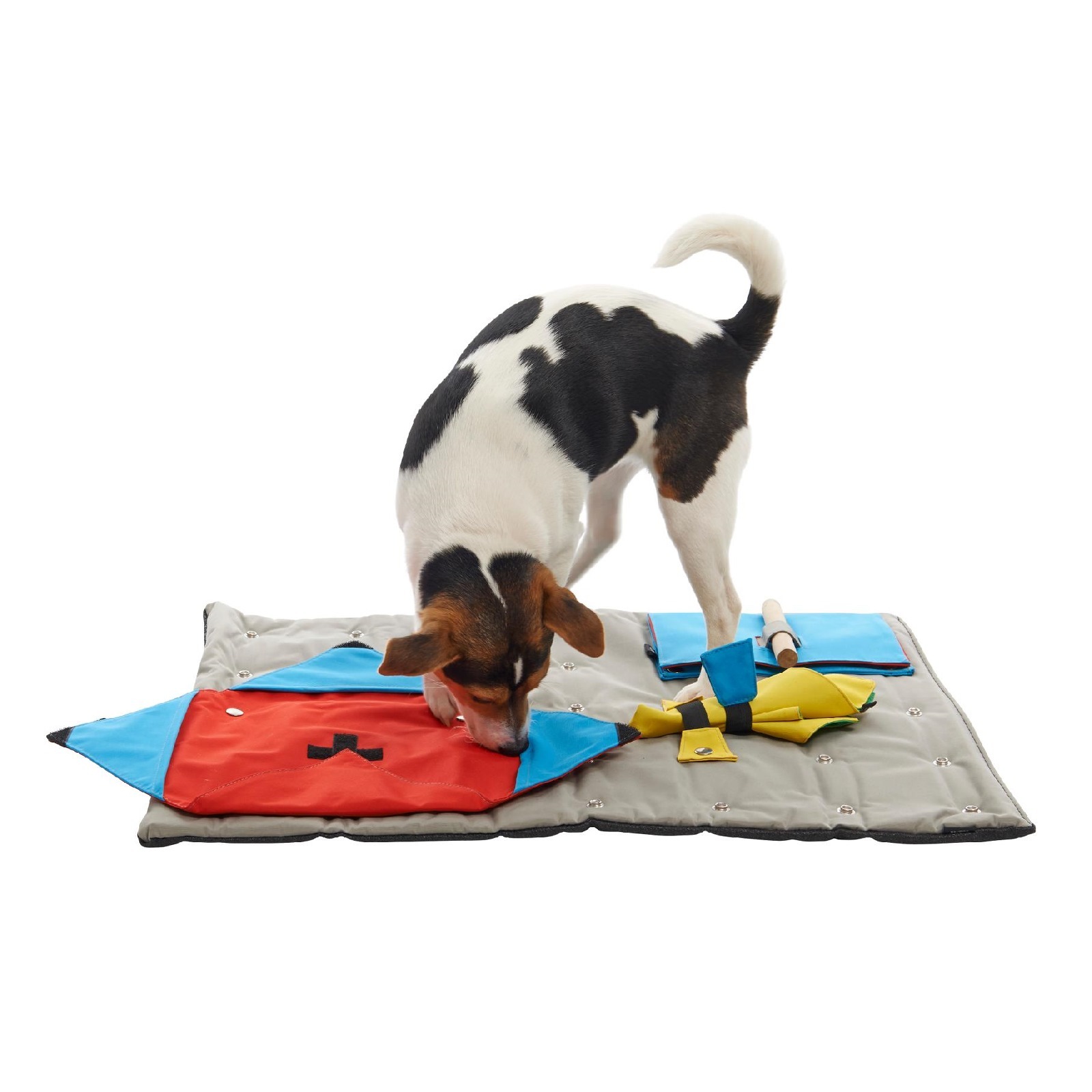 Buster Canvas Activity Snuffle Mat Starter Kit Interactive Dog Toy