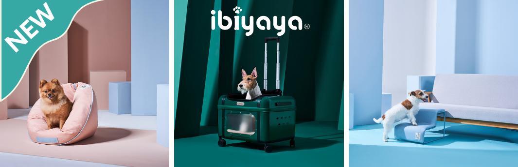 Ibiyaya