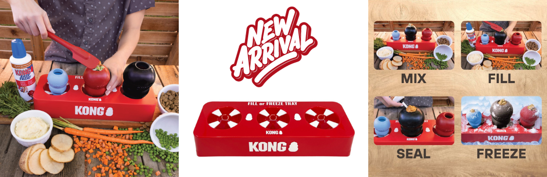 Kong fill freeze