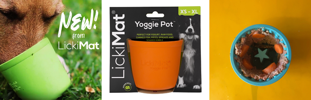 Yoggie Pot