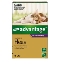 Advantage Spot-On Flea Control for Cats over 4kg - 4-Pack