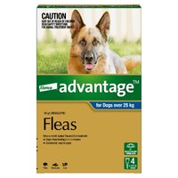 Advantage Spot-On Flea Control for Dogs Over 25kg - 4 Pack