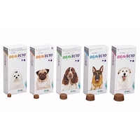 Bravecto Flea & Tick Control Chew - Yellow Pack for Very Small Dogs 2-4.5kg - Single Chew 