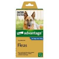Advantage Spot-On Flea Control Treatment for Dogs Over 25kg - Single Dose