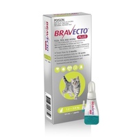Bravecto PLUS Spot-On 3 month Flea, Tick & Worm Protection - For Cats 1.2-2.8kg