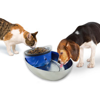 Pioneer Pet Stainless Steel and Plastic Water Food Bowl Drinking Fountain