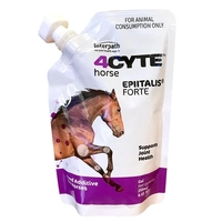 4Cyte Equine Epiitalis Forte Gel 250Ml 