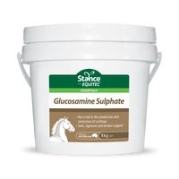 Equitec Glucosamine Sulphate 1Kg 