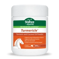 Equitec Turmericle 200G  