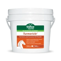 Equitec Turmericle 500G  