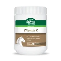 Equitec Vitamin C 750G  