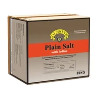 Olssons Plain Salt Block Iodised 20Kg 