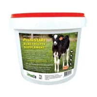 Profestart Electrolyte Powder 10Kg *Spec Ord* 