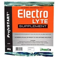 Profestart Electrolyte Powder Ezi Sachet 60G 20Pk Box (Om20) 
