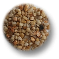 Showmaster Natural White Gravel 10Kg 