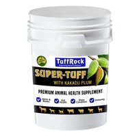 Tuffrock Super Tuff 10Kg  