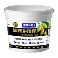 Tuffrock Super Tuff 2.5Kg  
