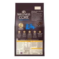 Wellness Core Gf Lge Breed Puppy 10.9Kg