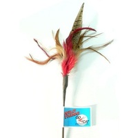 Go Cat Feather Teaser Long Wild Thing Cat Toy