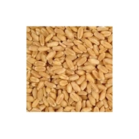 Country Heritage Organic Whole Wheat 20Kg (40) *Spec Ord* 