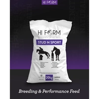 Hi Form Equicube Stud N Sport 20Kg (50) 