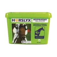 Horslyx Respiratory Stable Vit & Mineral Lick 5Kg 