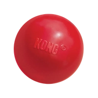 Kong Ball With Hole Lg  