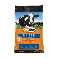 Coprice Heifer Rearer 16% 20Kg (48) 