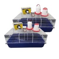 Ipetz Chicken Starter Kits 2Pack  