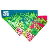 Max & Molly Bandana for Cats & Dogs - Tropical