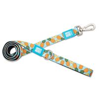 Max & Molly Dog Leash - Sweet Pineapple