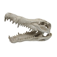 Urs Croc Skull Med 25X11.5X15.5Cm 