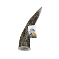 Platinum Ranch Large Deer Antler Single 