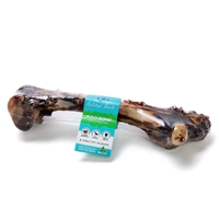 The Pet Project Kangaroo Bone (Femur) 