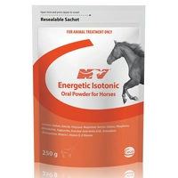 Ceva Energetic Isotonic Powder 250G 