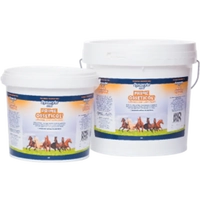 Dynavyte Equine Prime 2Kg *Spec Ord* 