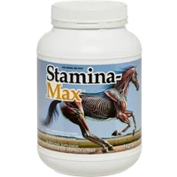 IAH STAMINA-MAX 1 KG