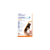 Revolution Cat Plus Medium Cat 3Pk 2.5-5Kg 