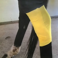 Ranvet Essential Wrap Patch  