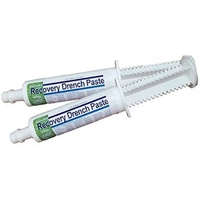Ranvet Recovery Aid Paste 80Ml  