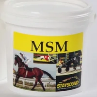 Stay Sound Msm 450G  