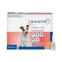 Evicto Spot On Small Dog 5 - 10Kg 4'S 