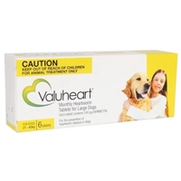 Valuheart Dog 21-40Kg - Gold 6S Large 