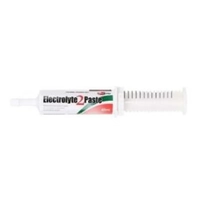 Value Plus Electrolyte 2 Paste 60Ml 