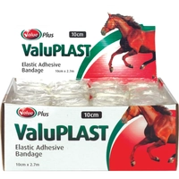 Valuplast Elastic Adhesive Bandage 10Cm 