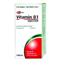 Value Plus Vitamin B1 100Ml  