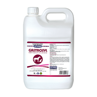 Vetsense Gastrosyl 5L  