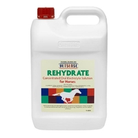 Vetsense Rehydrate Horse 5L  