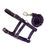 Anipal Autumn Lilac Comfort Halter & Lead Set Cob 