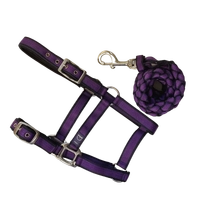 Anipal Autumn Lilac Comfort Halter & Lead Set Xfull 